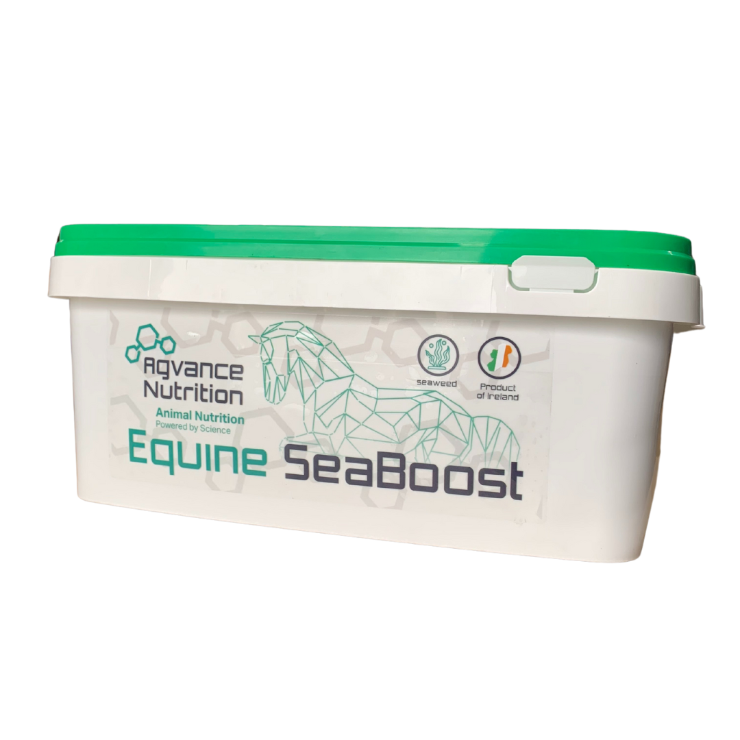 Equine Seaboost 12kg