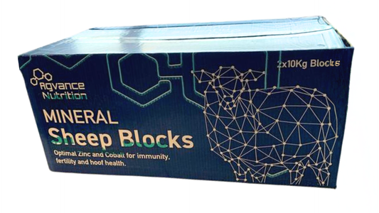 Mineral Sheep Block 20KG