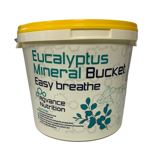 Eucalyptus Easy Breathe Mineral Bucket – Respiratory Support