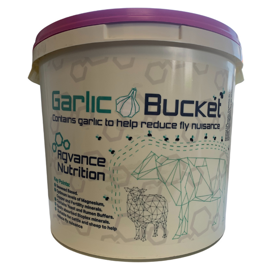 Garlic Seaweed Mineral Bucket 18kg