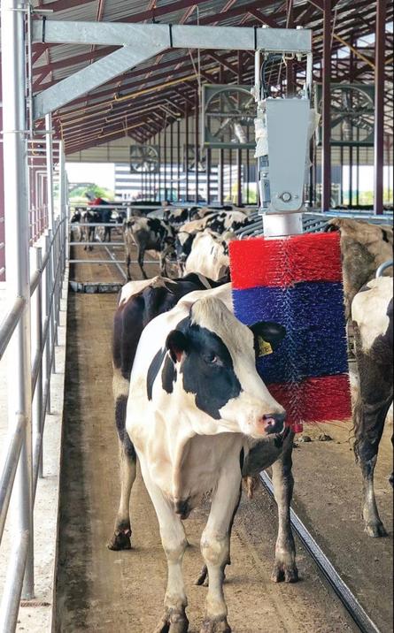 Agvance Motorised Cow Brush