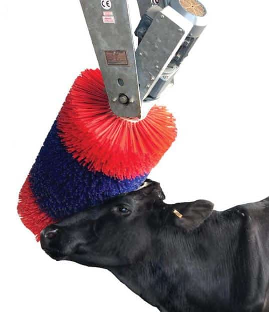 Agvance Motorised Cow Brush