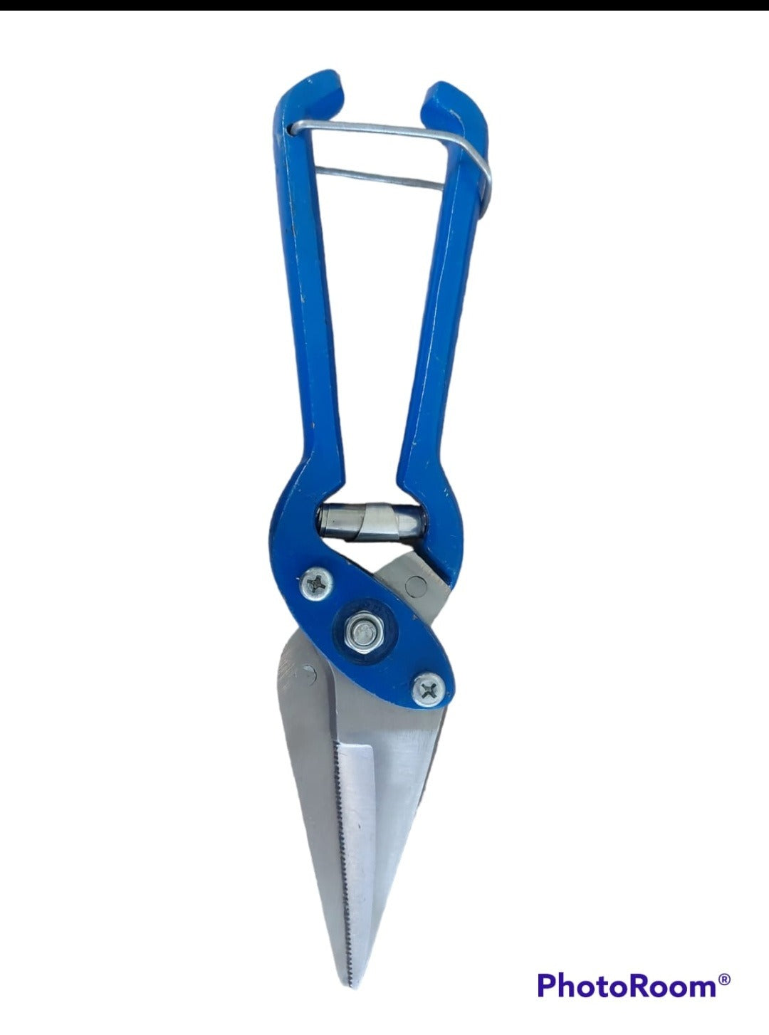 Agvance Footrot Shears
