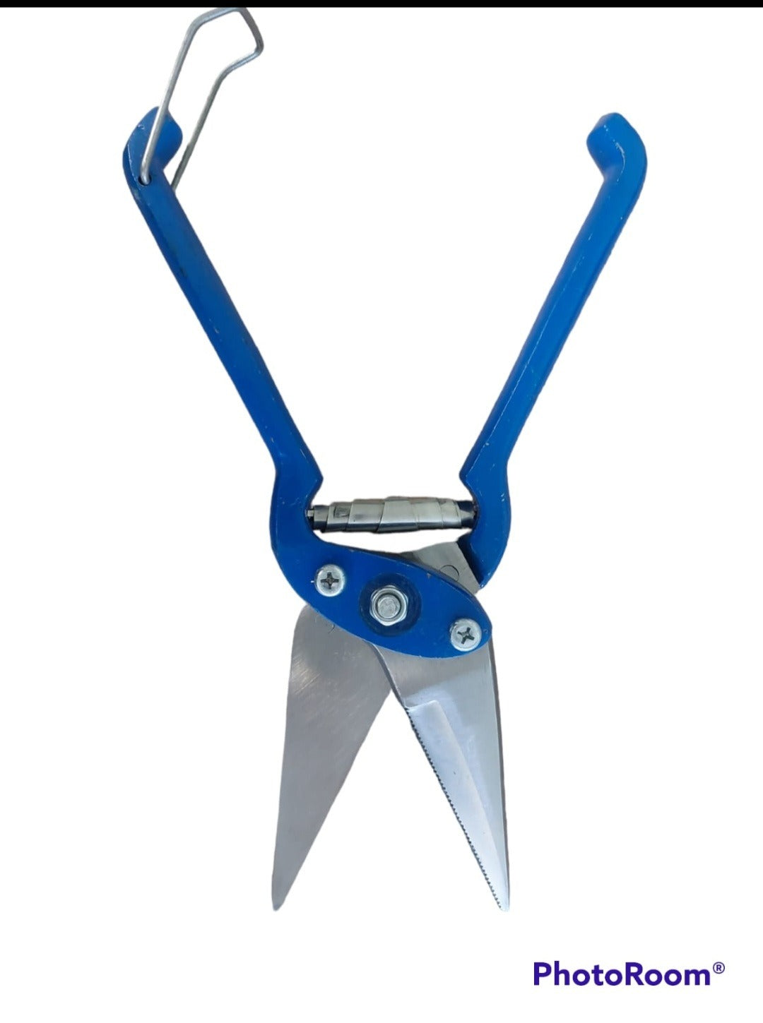 Agvance Footrot Shears