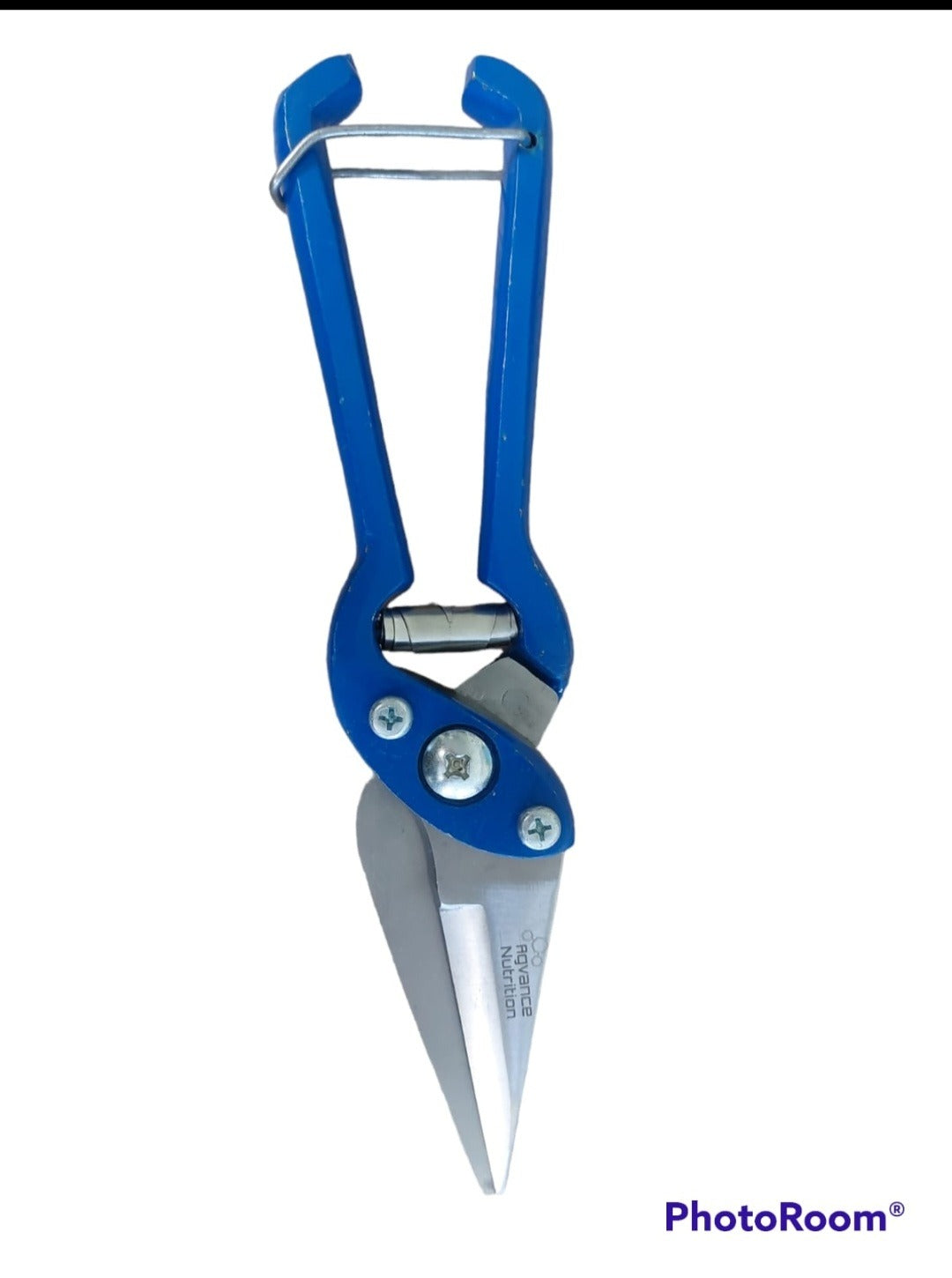 Agvance Footrot Shears