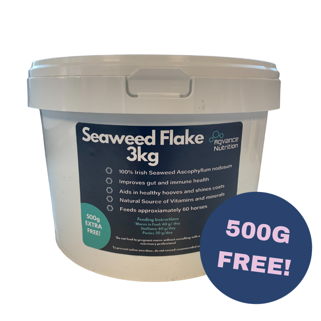 Agvance Seaweed Powder 3kg
