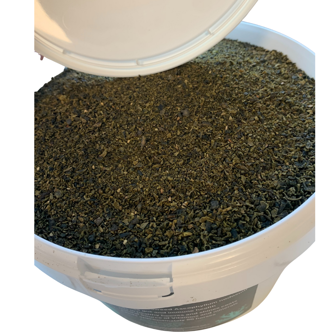 Agvance Seaweed Powder 3kg