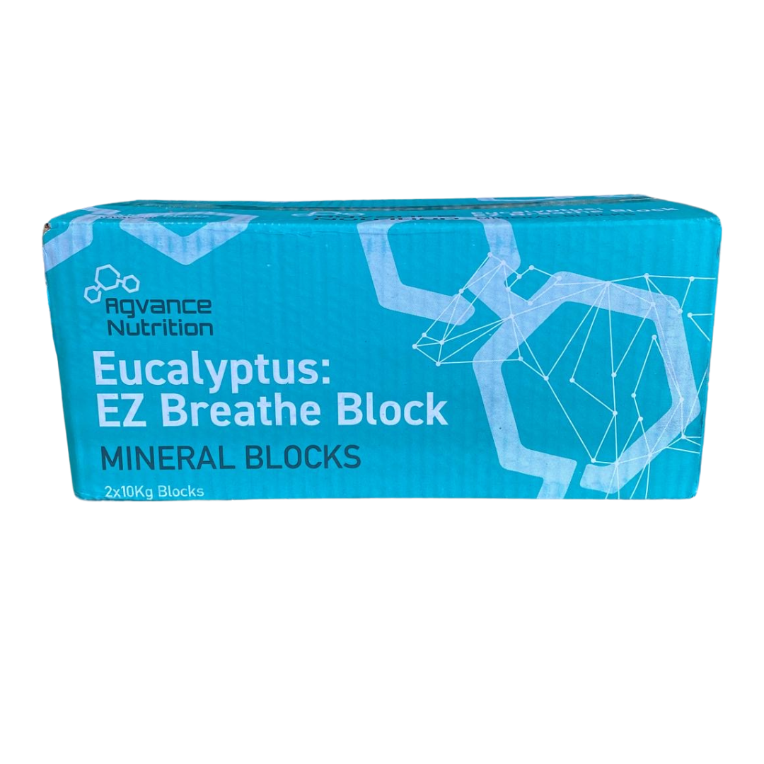 Eucalyptus Easy Breathe Beef Block