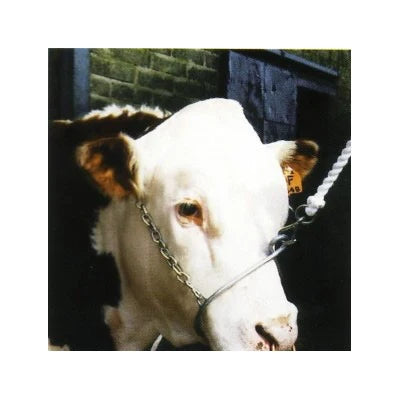 Metal Training Halter