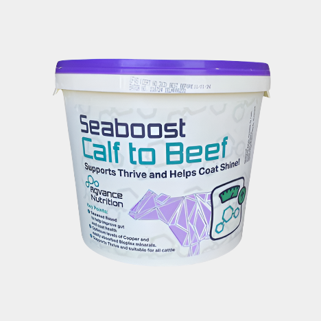 Seaboost Calf to Beef Mineral Bucket